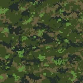 Parklands Bandana - Canadian Digital