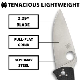 Spyderco Tenacious Lightweight Folder, PlainEdge (C122PBK)