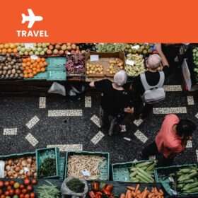 Pristine Water Purification Tabs, 50-pack