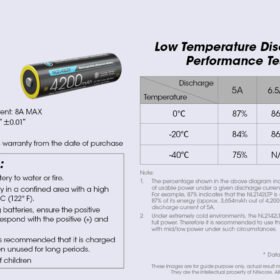 NL2142LTP Low Temperature Performance Battery